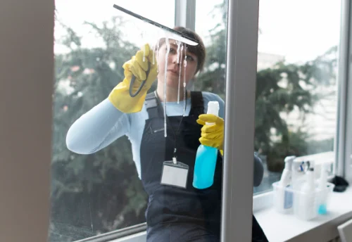 Nettoyage de vitres intérieures et extérieures à Salles-de-Villefagnan